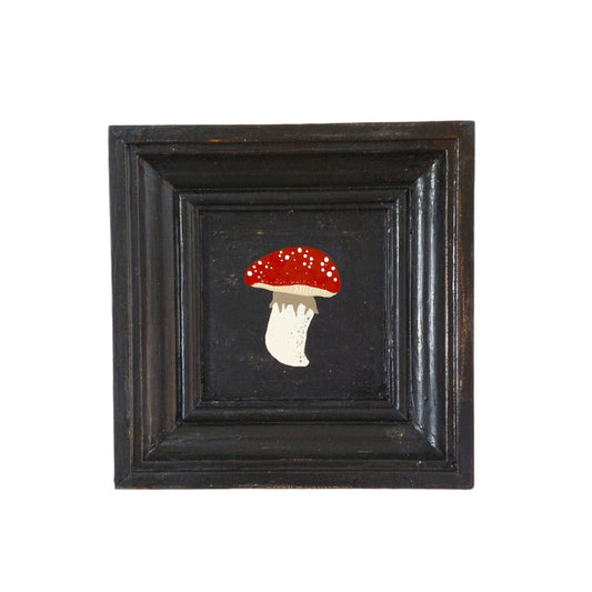 Fungi